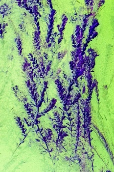N 060K
